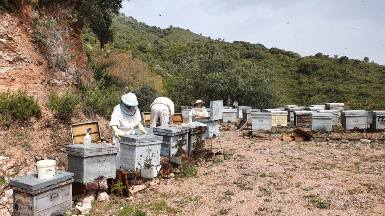Casa El Canton Jimera de Libar Ngoại thất bức ảnh
